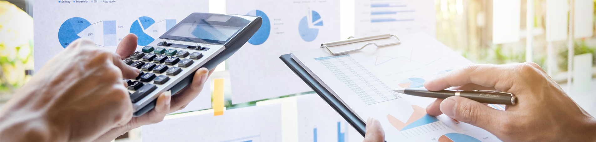 Financial Audits image